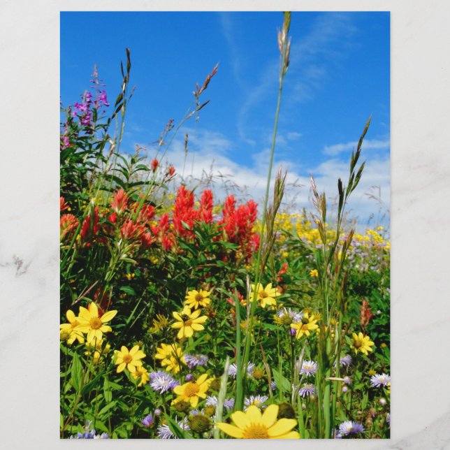Mt. Wildflowers (Front)