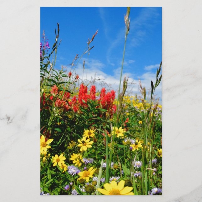 Mt. Wildflowers (Front)