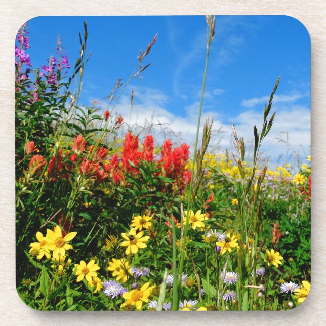 Mt. Wildflowers Coaster (Front)