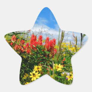Mt. Wildflowers Star Sticker