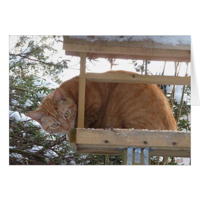 MTC, bip, bip ? (Devant Horizontal)