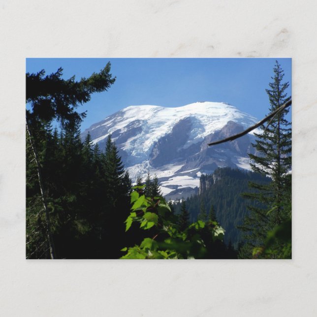 MtRainer6 Postcard (Front)