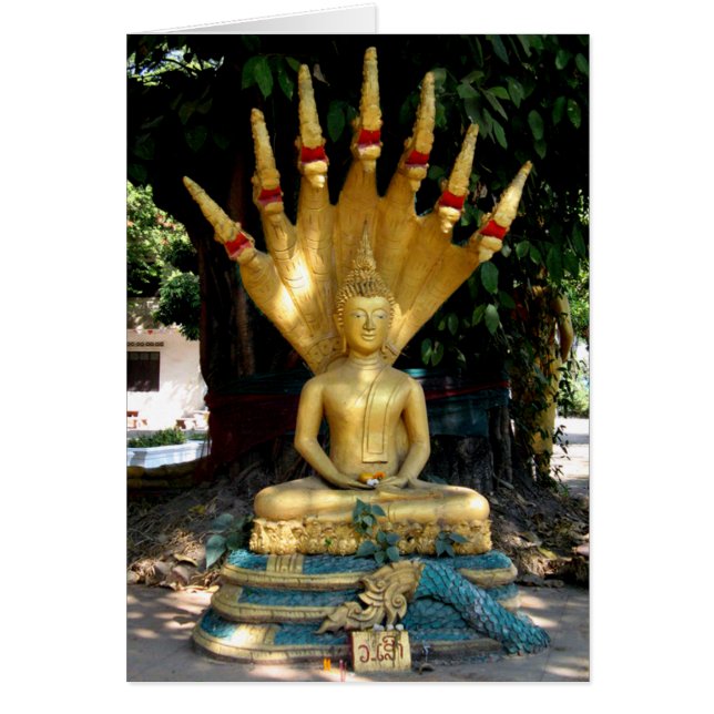 Mucalinda Card (Front)