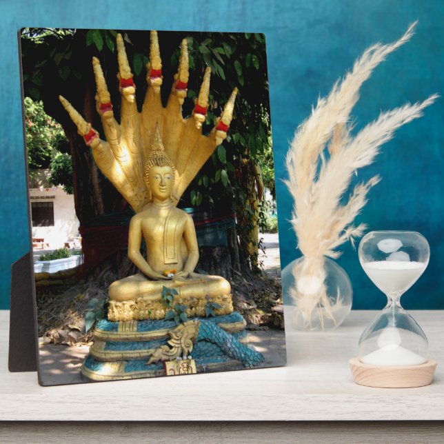 Mucalinda Plaque (Side)