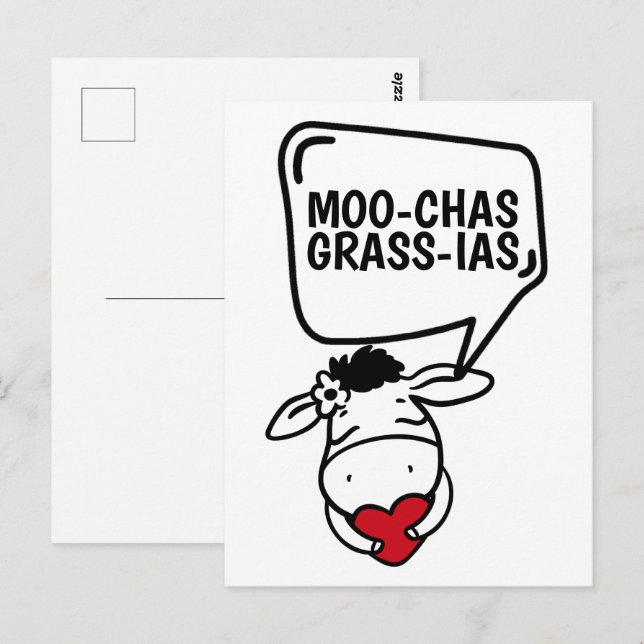 Muchas Gracias Cow Themed Many Thanks Funny Postcard (Front/Back)