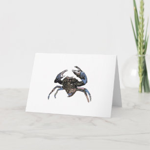 Mud crab or mangrove crab (Scylla serrata) Card