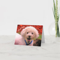 Mud Faced Poodle Customizable Thank You Card
