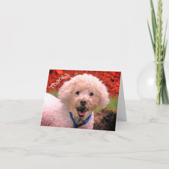 Mud Faced Poodle Customizable Thank You Card (Front)