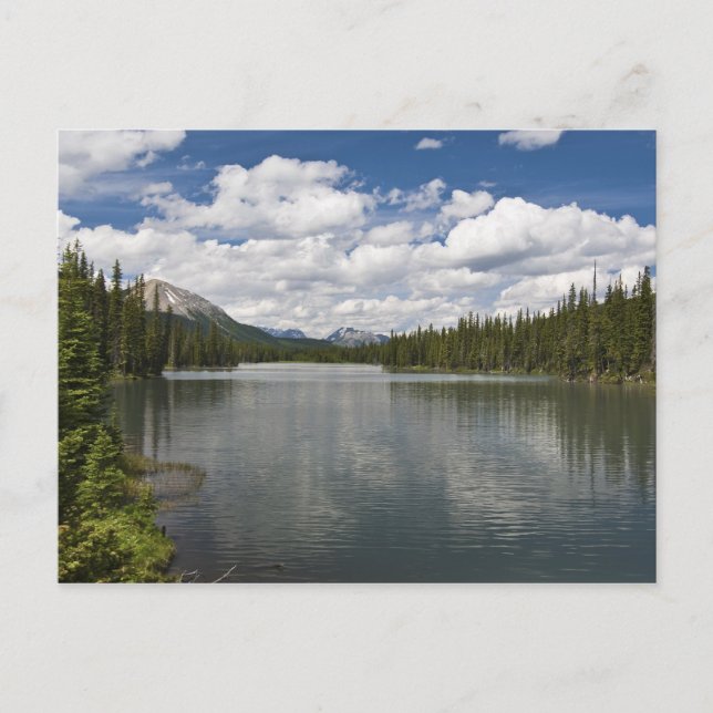 Mud Lake Postcard (Front)