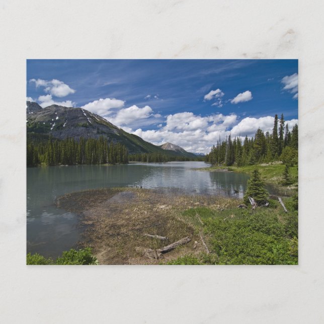Mud Lake Postcard (Front)
