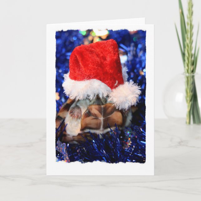 Mud turtle with head covered in santa hat holiday card (Front)