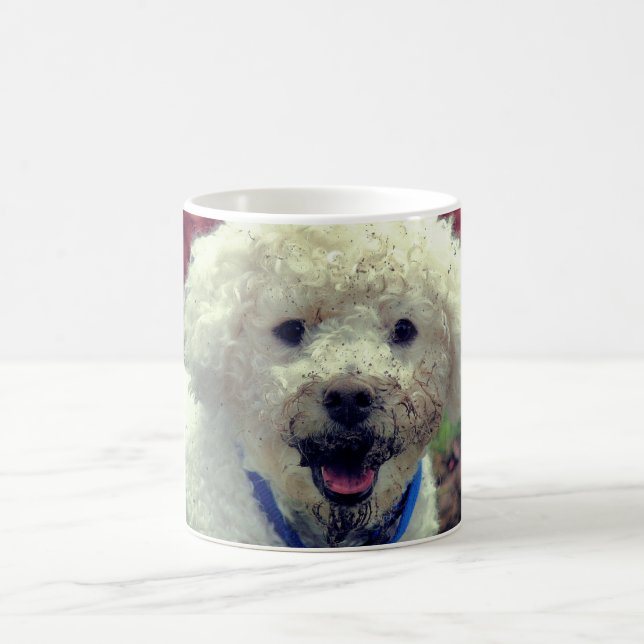 Muddy Faced Poodle Funny Dog Personalized Coffee Mug (Center)