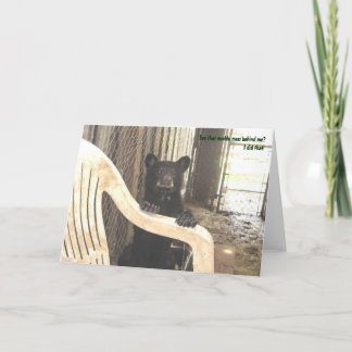 Muddy Kapalua - Greeting Card