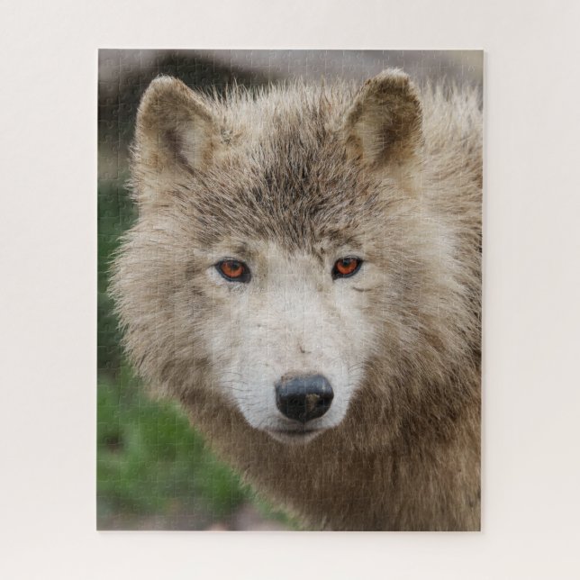 Muddy White Wolf Jigsaw Puzzle (Vertical)