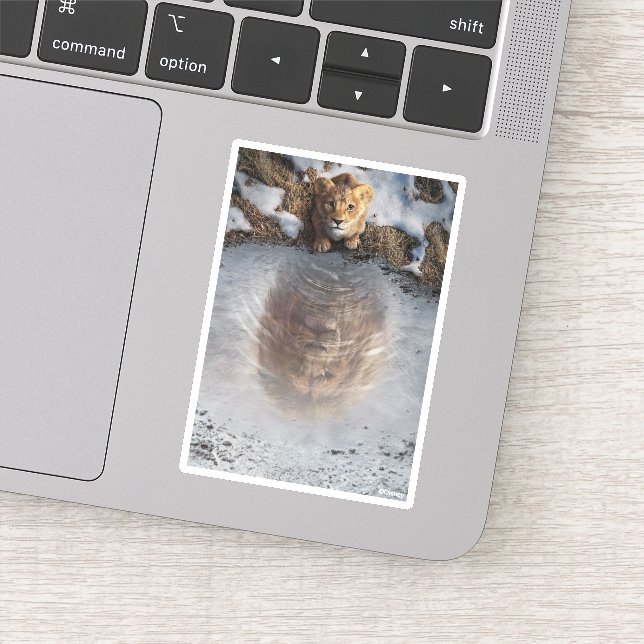 Mufasa Reflection (Detail)