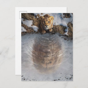 Mufasa Reflection Postcard