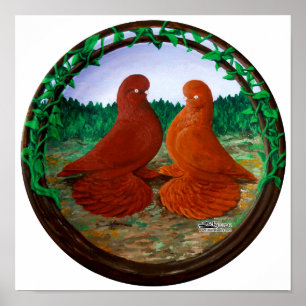 Muffed Tumbler Pigeons2 Poster