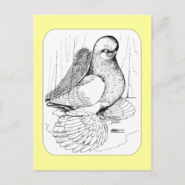 Muffed Tumbler Saddle 1978 Postcard (Front)