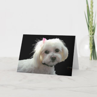Muffy's pink bow card