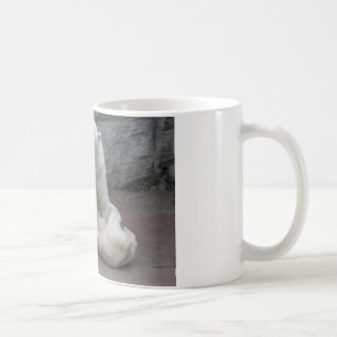 MUG 1)