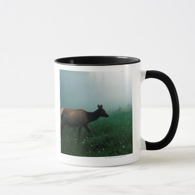 MUG 24121885 (Droite)