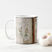 3 pages du codex botanique du manuscrit de Voynich
