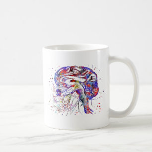 Mug 4522bBrain nerfs crâniens, nerfs crâniens de