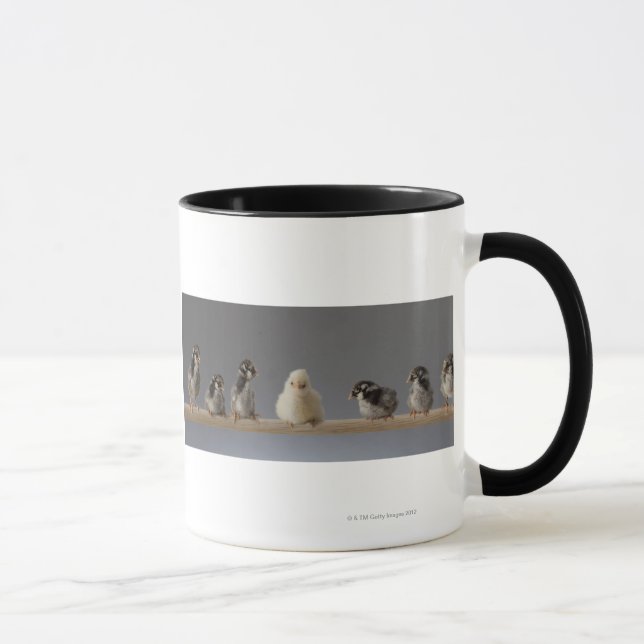 Mug 7 poulets d'animal familier de bébé sur une perche (Droite)