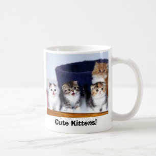Mug 831_wallpaper280, chatons mignons !