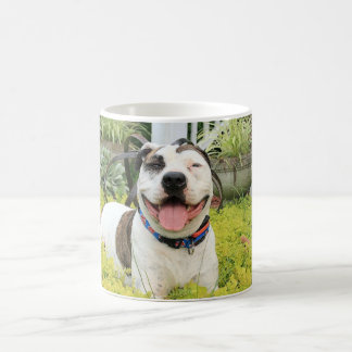 Mug À l'os de pitbull