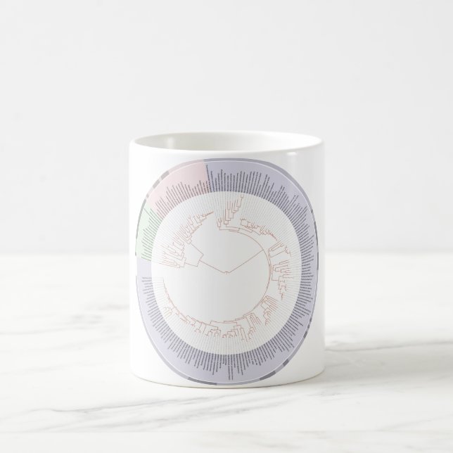 Mug A phylogenetic tree of life Chart (Center)