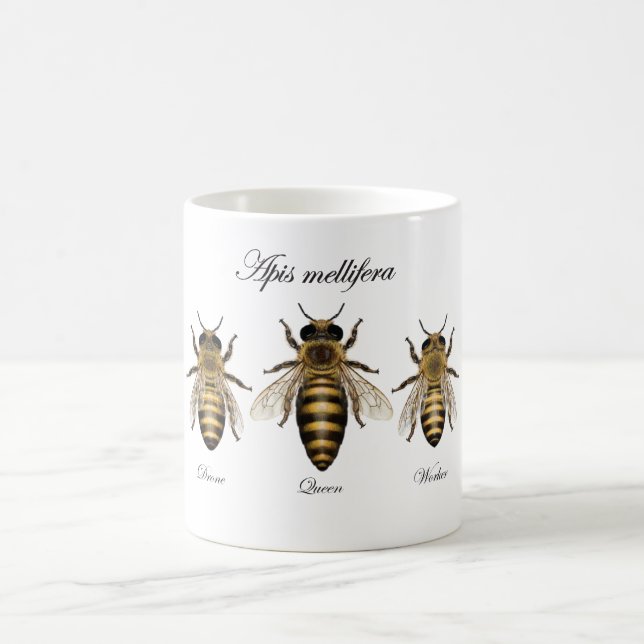Mug Abeille européenne de miel (mellifera d'api) (Centre)