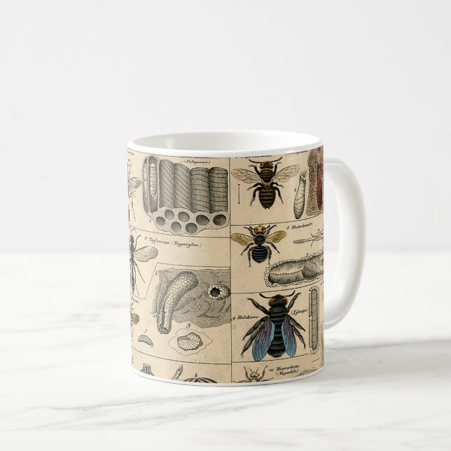 Mug Abeille Insecte Bug Wasp Nature Peinture des abeil (Devant droit)