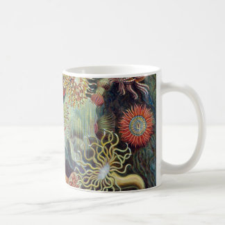 Mug Actinie d'Ernst Haeckel Actiniaea