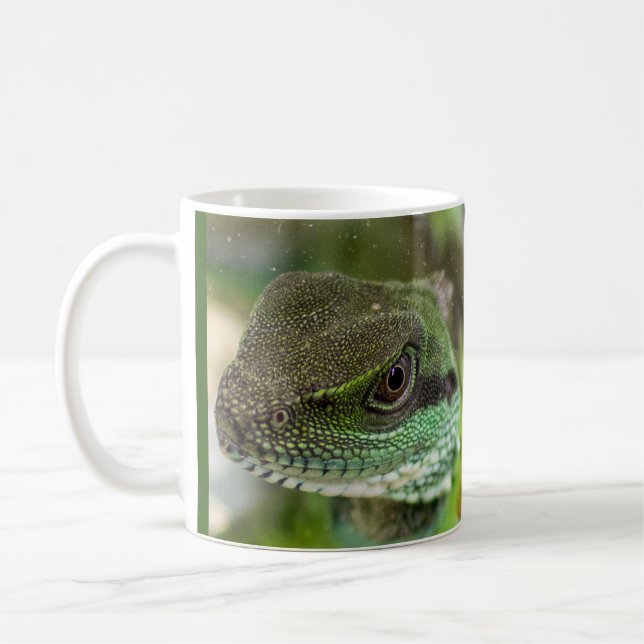 Mug Agama, lézard (Gauche)