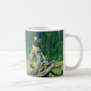 Mug Aigle Balle Perché Sur Branche