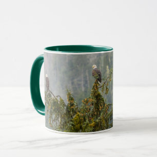 Mug Aigles chauds   Tongass National Forest Alaska