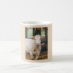 Mug Alimentation de la vache en France