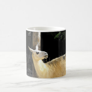 Mug Alimentation de lama