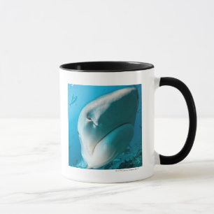 Mug Alimentation de requin de requin de tigre