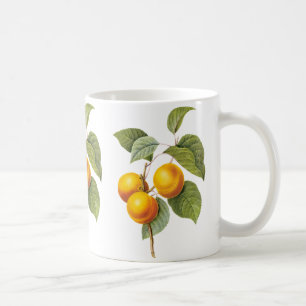 Mug Aliments Anciens Fruits, Abricot Pêche par Redoute
