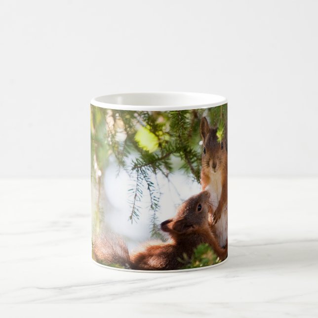Mug Allaiter l'écureuil (Centre)