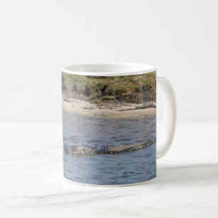 Mug Alligator d'Amérique nageant dans une rivière maré