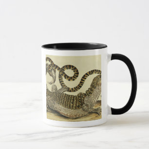 Mug Alligator et serpent, 1730 (gravure colorée)