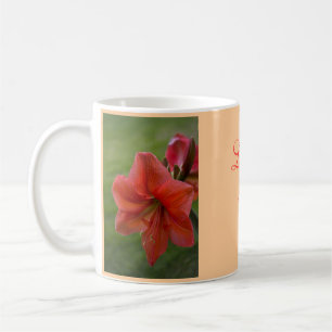 Mug Amaryllis