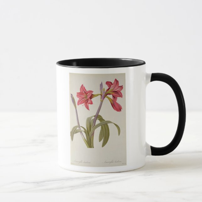 Mug Amaryllis Brasiliensis (Droite)