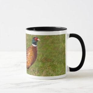 Mug Améliorez votre expérience de boisson avec nos tas