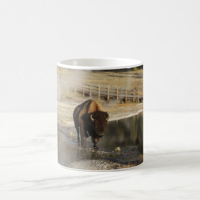Mug American Bison Yellowstone Wildlife Photography (Centre)