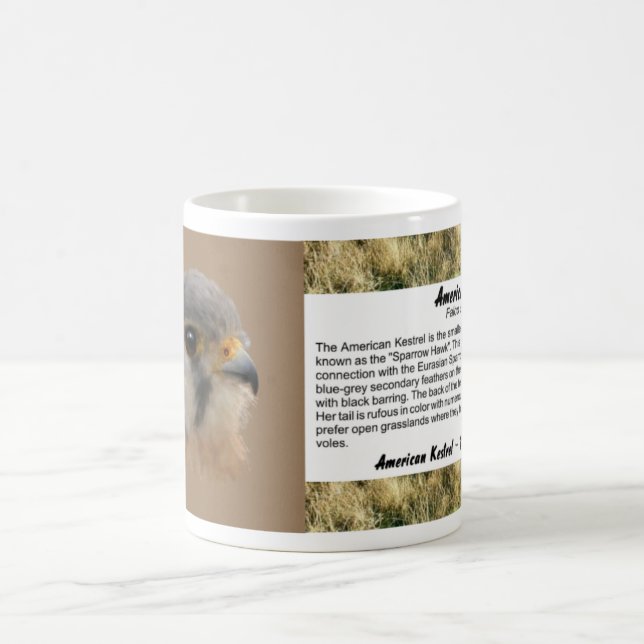 Mug American Kestrel Portrait (Centre)