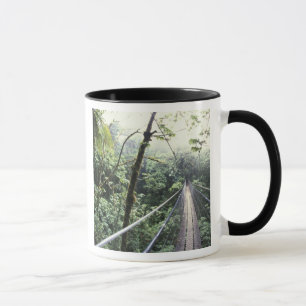 Mug Amérique centrale, Costa Rica, Monteverde Cloud
